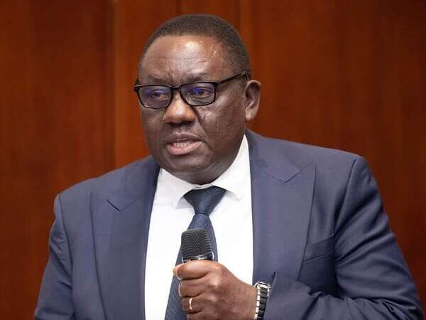 Programme d’intensification des productions maraichère et céréalière : Pour une disponibilité durable des produits et à prix compétitifs sur le marché 