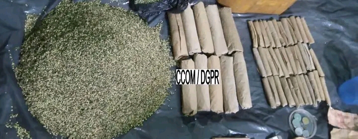 Covè: Trois personnes arrêtées à Agabossa pour trafic de chanvre indien