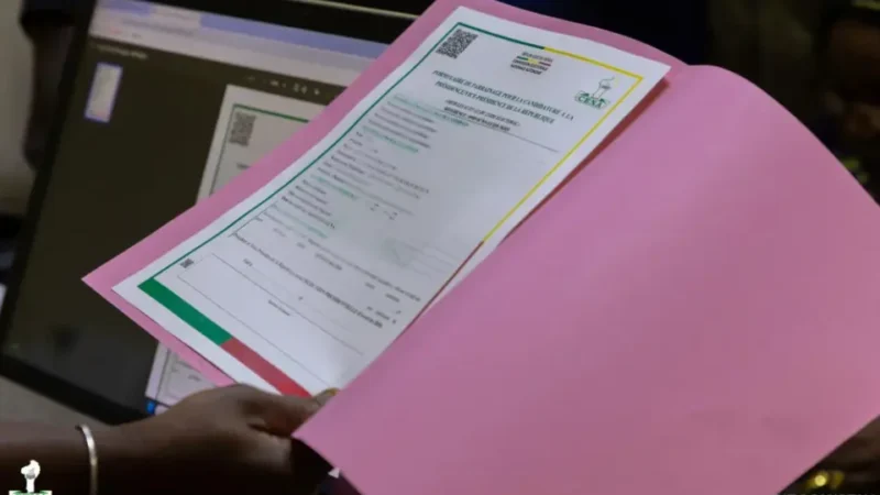 Regards croisés : Auto-parrainage vaincu…et après ?