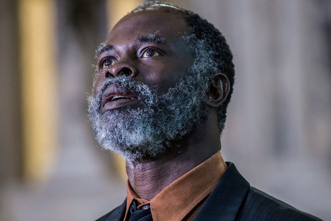 Hollywood : le célèbre acteur béninois, Djimon Hounsou victime de racisme systémique