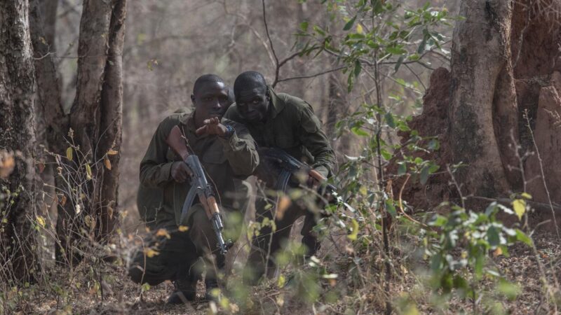 Malanville : 03 militaires tués et 04 blessés par les IANI
