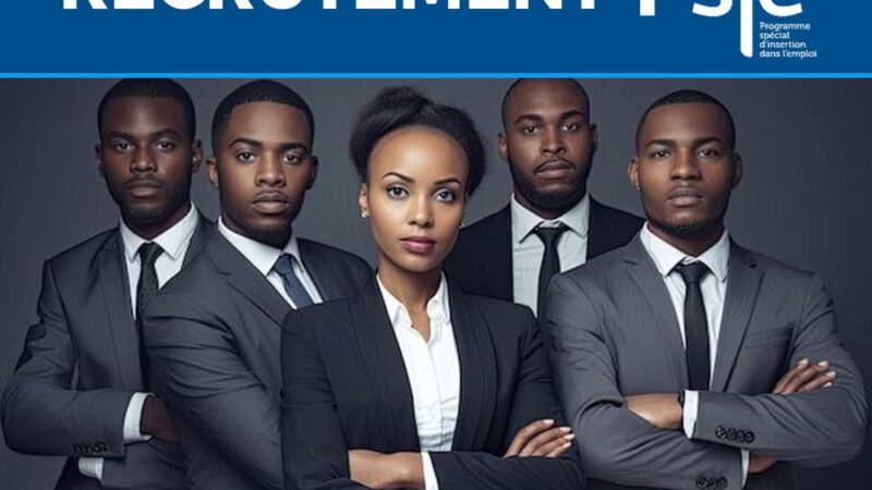 Offre d’emploi: le PSIE recrute pour plusieurs postes