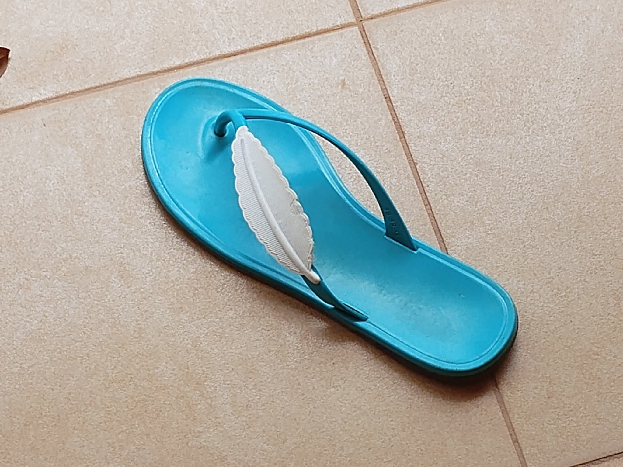 Tapette disparue avec téléphone retrouvé 