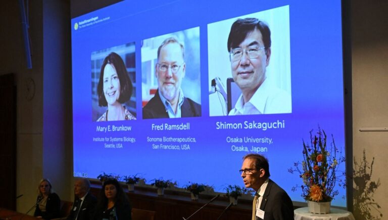 Distinction: Le prix Nobel de médecine 2025 récompense trois chercheurs pour avoir percé un secret du système immunitaire ‎