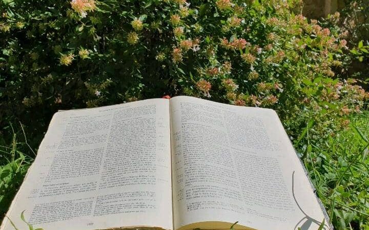 Église Catholique: la CEB lance le programme « Église Verte » pour une conversion écologique intégrale