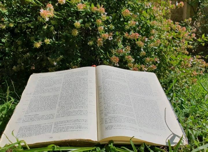 Église Catholique: la CEB lance le programme « Église Verte » pour une conversion écologique intégrale