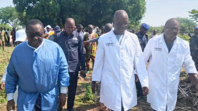 Lutte contre la fièvre aphteuse et la dermatose bovine: le gouvernement béninois lance officiellement la première campagne