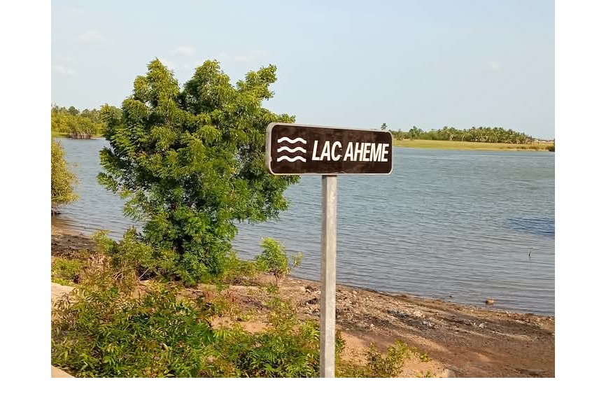 Panique à Dado: Un crocodile sème la panique dans le Lac Ahémé