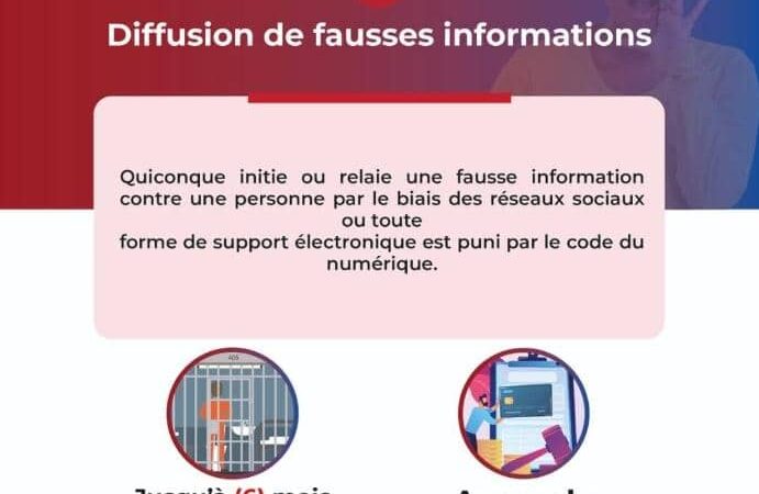 Lutte contre la diffusion de fausses informations: les administrateurs de groupes WhatsApp désormais dans le viseur du CNIN