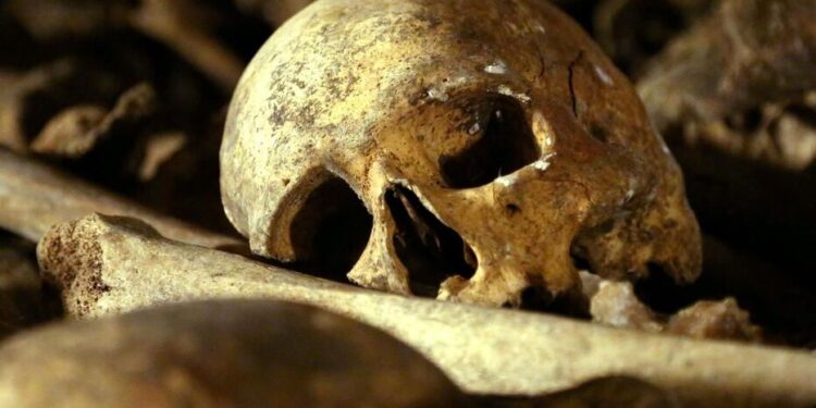 BENIN/Profanation de tombes et trafic d&rsquo;ossements humains: un nouveau bachelier arrêté en flagrant délit dans un cimetière