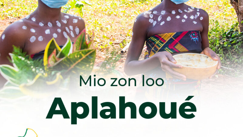 Aplahoué : la PRMP suspendue pour irrégularités dans les marchés publics