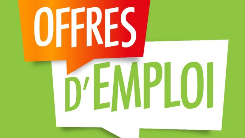 Offres d’emploi : L’ANaGeM ouvre un vaste recrutement à plusieurs postes