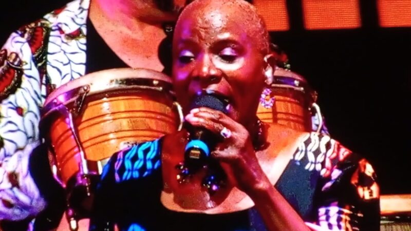 Angélique Kidjo aux Vodun Days 2026 : L’icône de la musique béninoise livre une performance inoubliable Culture