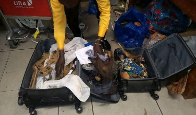 Gabon: 03 Béninois arrêtés à l&rsquo;aéroport de Libreville avec des valises remplies de fétiches
