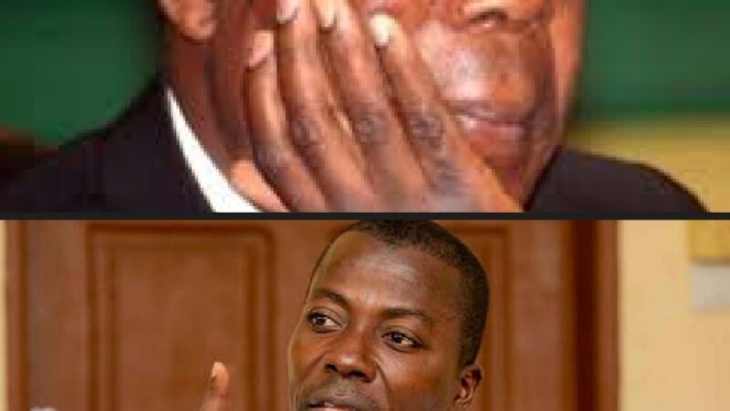 Béninois sans peur et sans reproche: Wilfried Léandre Houngbedji raconte une anecdote de poursuite judiciaire de Boni Yayi contre lui