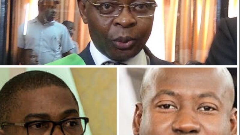 Condamnation de Boko et Homeky: pour Janvier Yahouédéou, la peine de 20 ans est peu