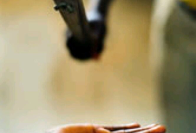 Floride: Une nouvelle loi autorise les châtiments corporels à l’école ‎