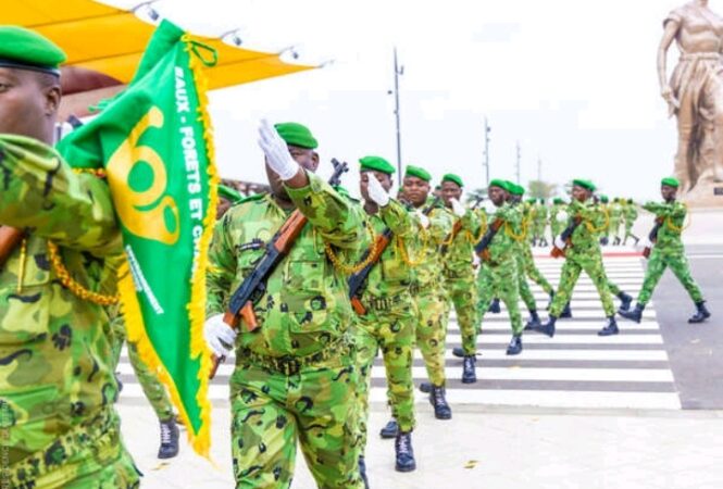 Recrutement à la Direction générale des Eaux, Forêts et Chasse ‎