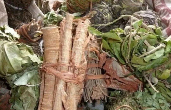 Tanzanie: La médecine traditionnelle fait son entrée dans les hôpitaux 