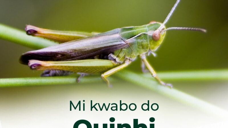 Des enfants décédés dans un incendie à Ouinhi : le premier adjoint au maire de la commune apporte des précisions