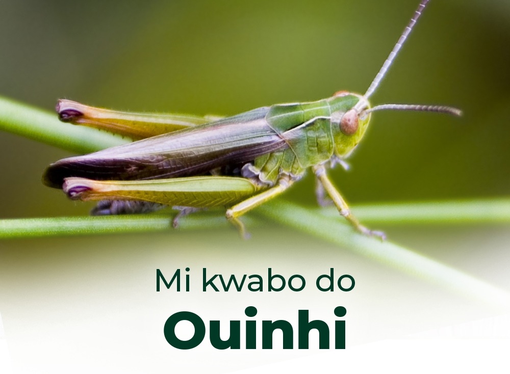 Des enfants décédés dans un incendie à Ouinhi : le premier adjoint au maire de la commune apporte des précisions