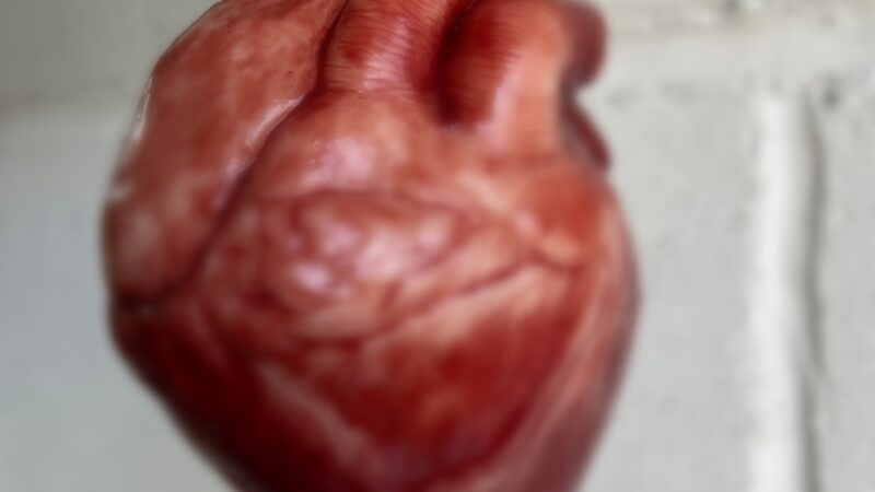 Commune de Toviklin : deux jeunes hommes interpellés avec un coeur humain frais