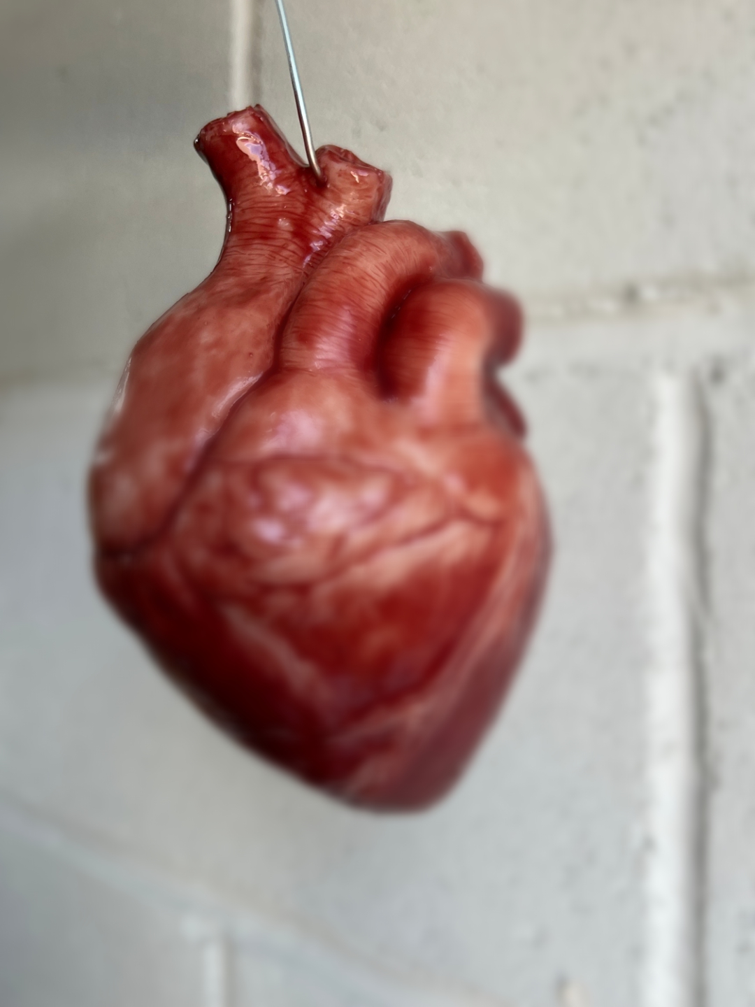 Commune de Toviklin : deux jeunes hommes interpellés avec un coeur humain frais