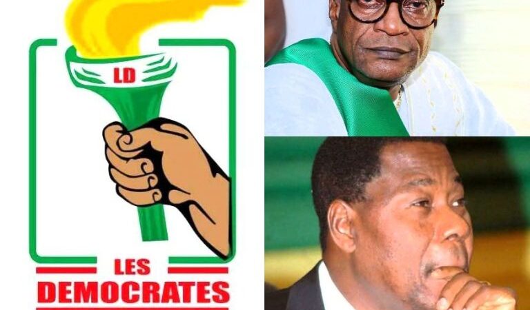 Affaire  »Parrainage » au parti LD: voici les raisons du renvoi de l&rsquo;audience spéciale à la Cour Constitutionnelle