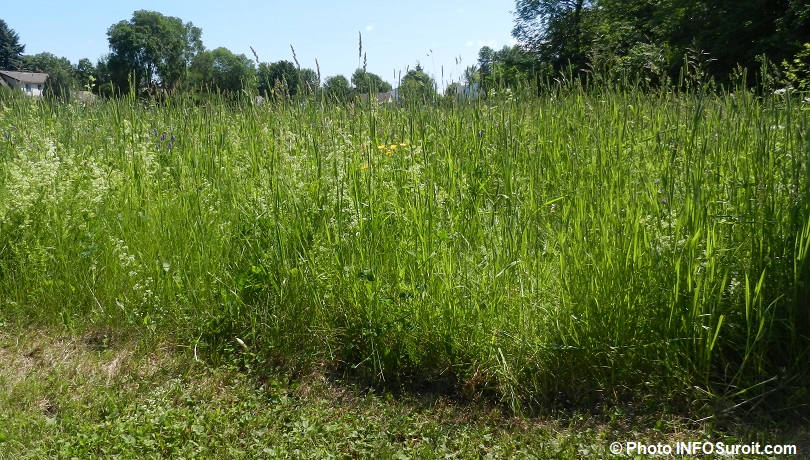 Abomey: un nouveau-né découvert hier dans la brousse