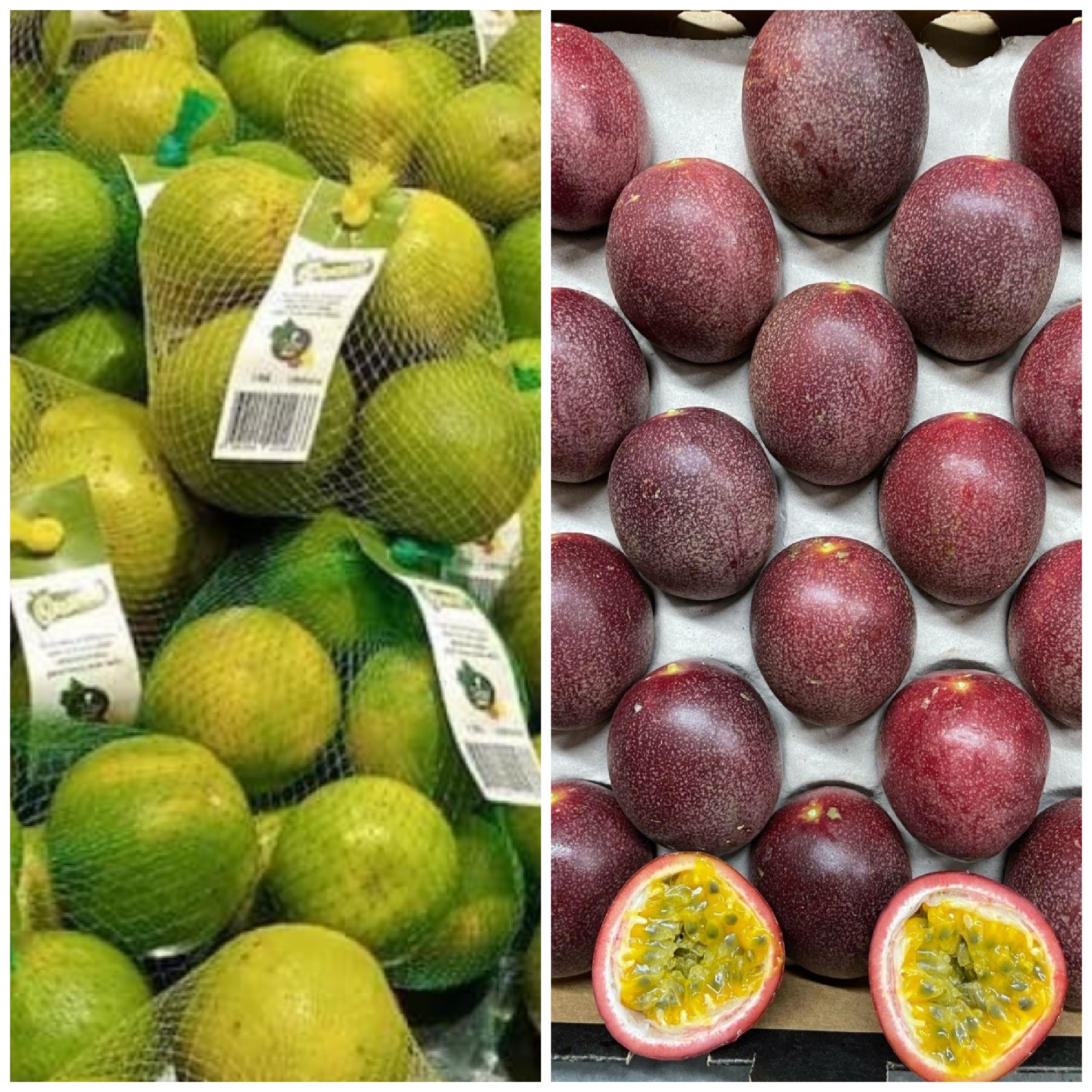 Agriculture au Bénin:  »Orana Farms », l&rsquo;espoir renaît sur les cendres de la Sonafel